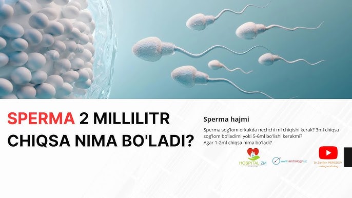 Lezbiyenlar bir-birining mushuklarini yalaydi