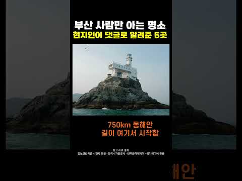 숨기라 했더니 더 털어놓는 부산 사람들 부산 현지인이 댓글로 알려준 진짜 명소 5곳 #shorts