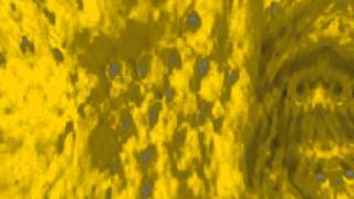 The Seashells - No Questions Answered?