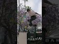 Full recap of Oakley’s “Go Skate” day at skateboarding.com 😎🛹