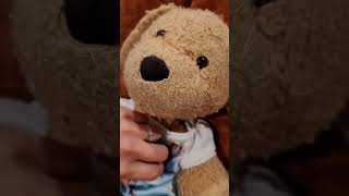 How to revive a matted stuffed animal! #teddybearrepair #stuffedanimal
