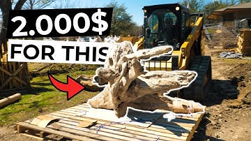 Should we rename it to a river? - HUGE KOI POND with Waterfall & Stream part 2