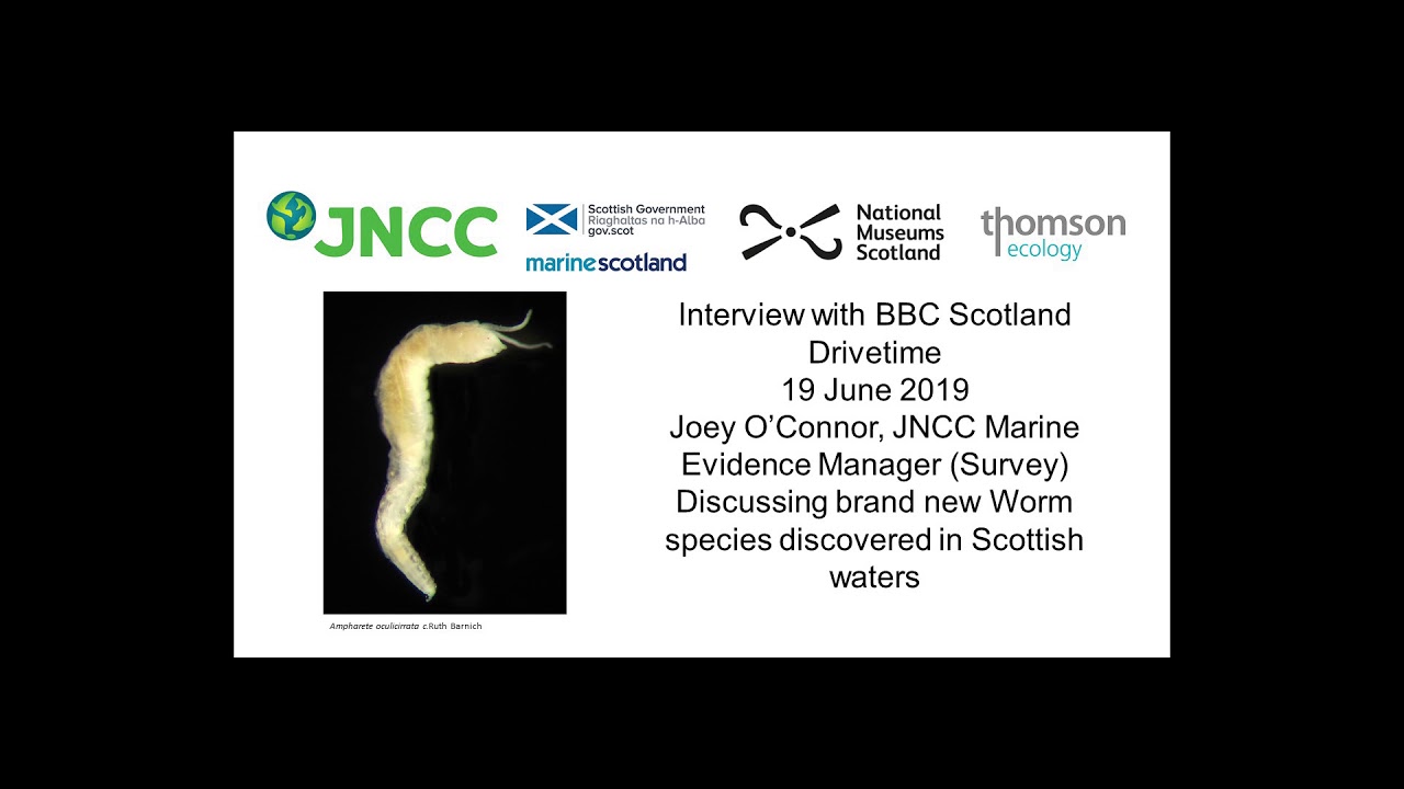BBC Scotland radio interview on new worm species with eyes in its bottom