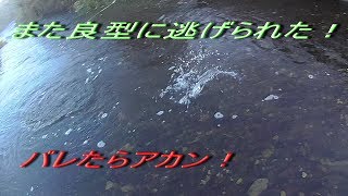 ヘアズイヤーニンフにまたまたヒット！