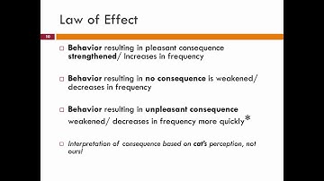 Behavior Modifications for Cats: 6. Operant Conditioning - class