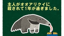 カマタカマタ Youtube