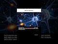 Neuron Impulses