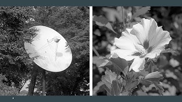 Photographic Diptychs