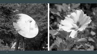 Photographic Diptychs