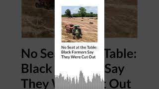 No Seat at the Table: Black Farmers Say They Were Cut Out | AURN News