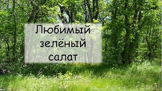 Сыроедение. Рецепт для начинающих: супер зеленый салат