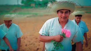 El Indio Enamorado Banda N-K