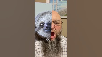 Animal twin filter TUTORIAL 👀 NEW | #shorts #tutorial