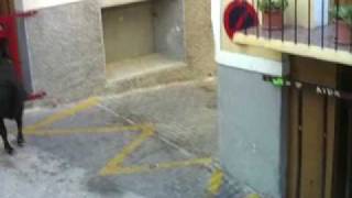 Bull Run Moratalla 2009