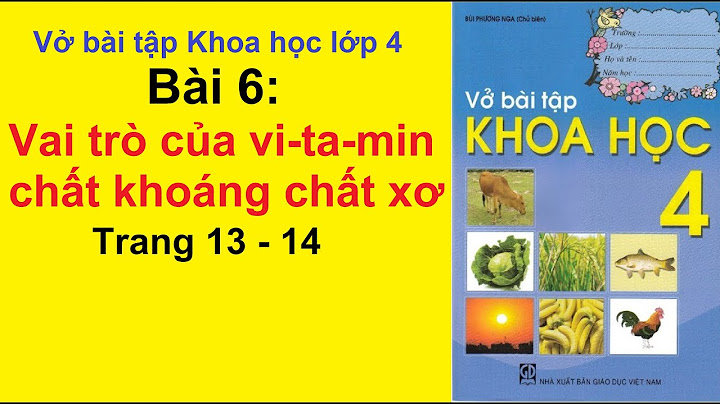 Vở bài tập Khoa học lớp 4 trang 23 bài 2