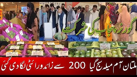 Mango festival In Multan DHA 202 || multan k aam || 2Hundred plus quality of Mango