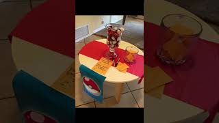 Pokemon Party Decoration Ideas