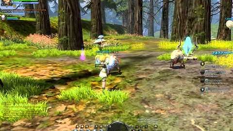 Dragon Nest CB Dread Forest