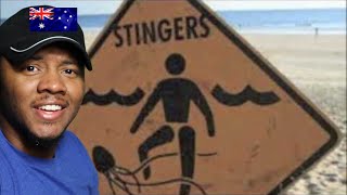 Watch Scared Weird Little Guys Deadly Animals come To Australia video