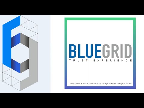 BlueGrid Financial Services LLP | Introduction