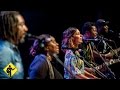 Back To Your Roots | Playing For Change Band | Live in Brazil