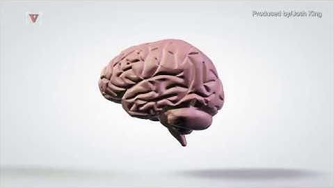 Ex-NFL Player Confirmed as First Ever Living Person Diagnosed With CTE