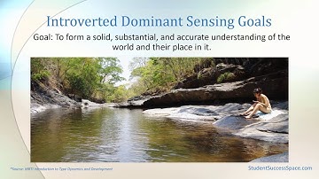 MBTI Introverted Dominant Sensing – Practical Growth ISTJ & ISFJ