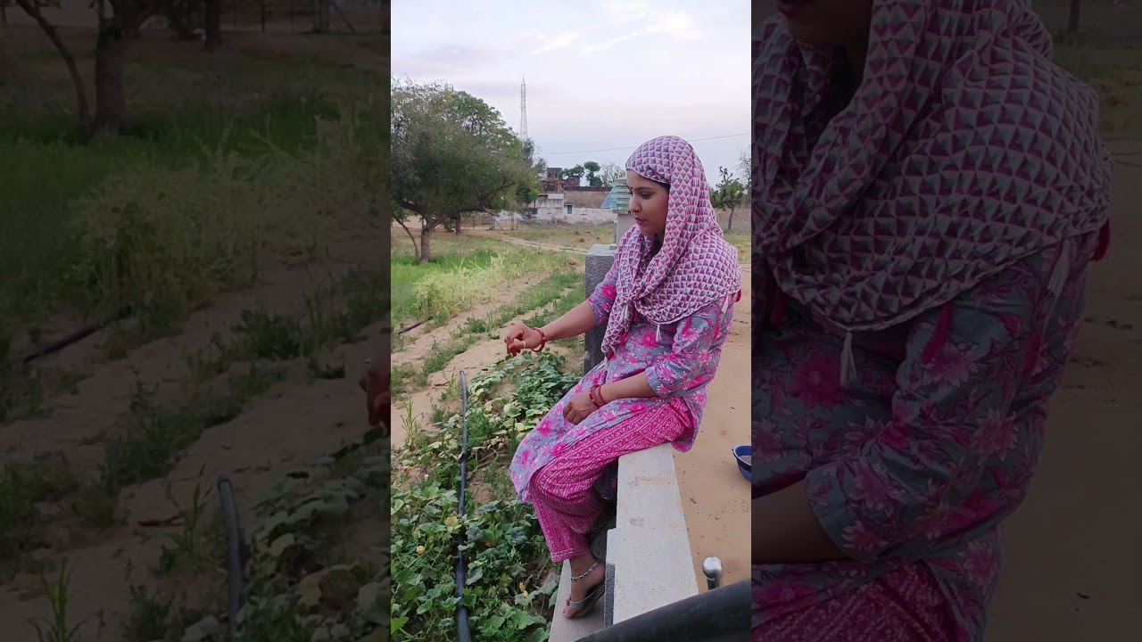 #shekhawatistudios /#newमारवाड़ीcomedy