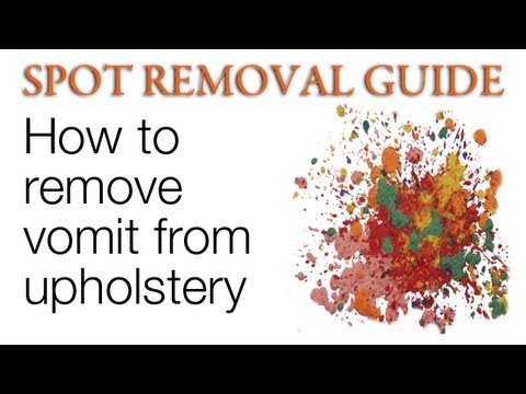 How to Remove Vomit from Upholstery | Spot Removal Guide