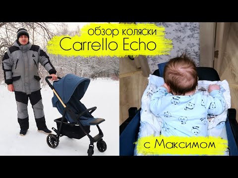 Обзор прогулочной коляски Carrello Echo