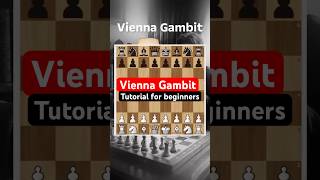 Chess tutorial for beginners: Vienna Gambit #chess #chessgame