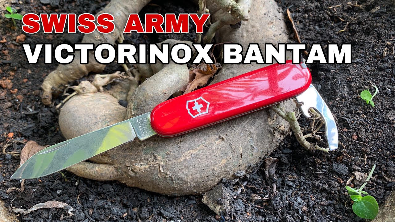 Review Ultralight Backpacking Knife Victorinox Bantam Indonesia Pisau
