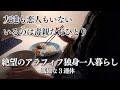 友達も彼氏もいない40代独身|毒親の老後を考え憂鬱になる3連休⋯