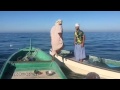 فيصل تست وهزاع ميشن فيصل تست وهزاع ميشن