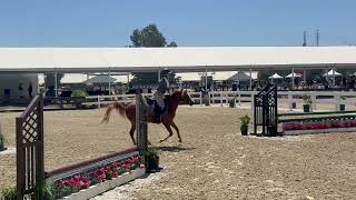 Thor - Oaks July 2026 - flying changes
