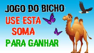 SOMA Dos Números da SORTE