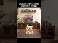 kalian masih ingat gk nih?