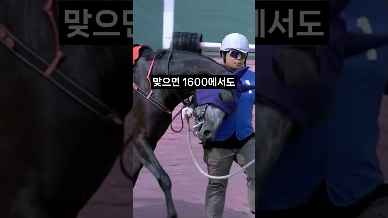 26.01.25 서울경마 07경주