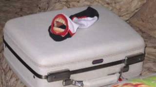 USofAnderson - Nikolai Video Art - Killer Sock