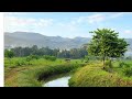 East flowing Rivers