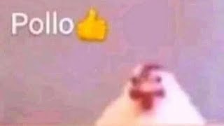 Shitposting compilation V8 #shitpost#shitpostingcompilation #shitposting#memes