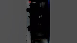 #statuswa ELSA PITALOKA-HARUSNYA AKU//coverby;andri