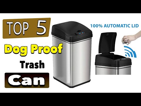 Video: Paano Mag-Dog-Proof Ang Iyong Trash Can