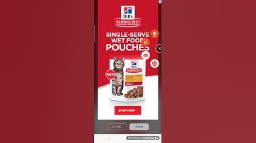 Brian crazy level 102 solution