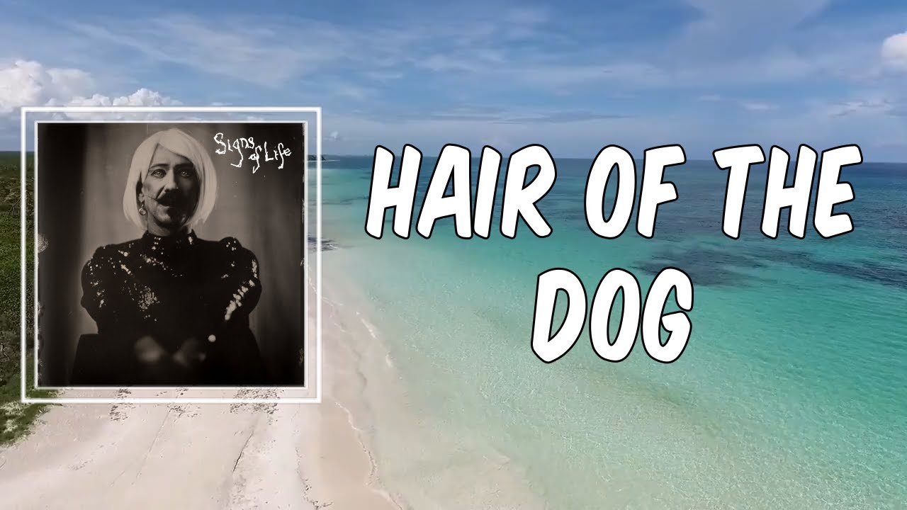 Hair of the Dog (Lyrics) - Foy Vance - thptnganamst.edu.vn
