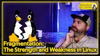 Fragmentation: The Strength and Weakness of Linux