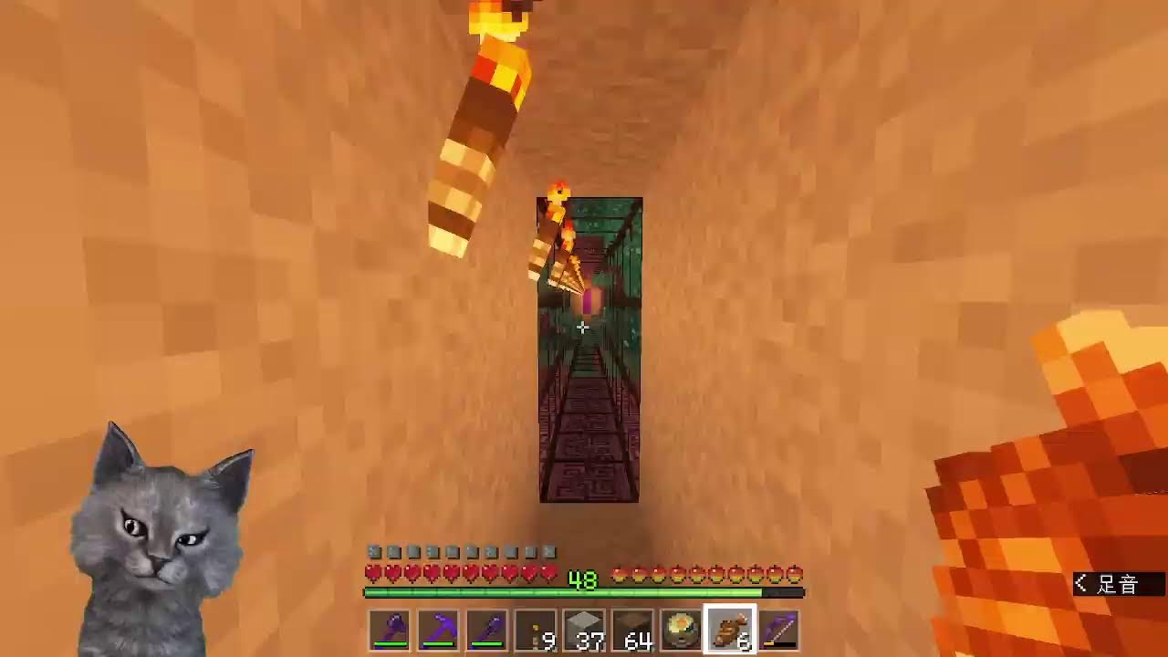 Minecraft test (Java Edition 1.18.1+MOD)