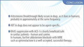 Dual RAAS blockade in canine heart failure (8/8) - Conclusions