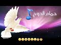 موال يا حمام الدوح بصوت انس خلف الجميع