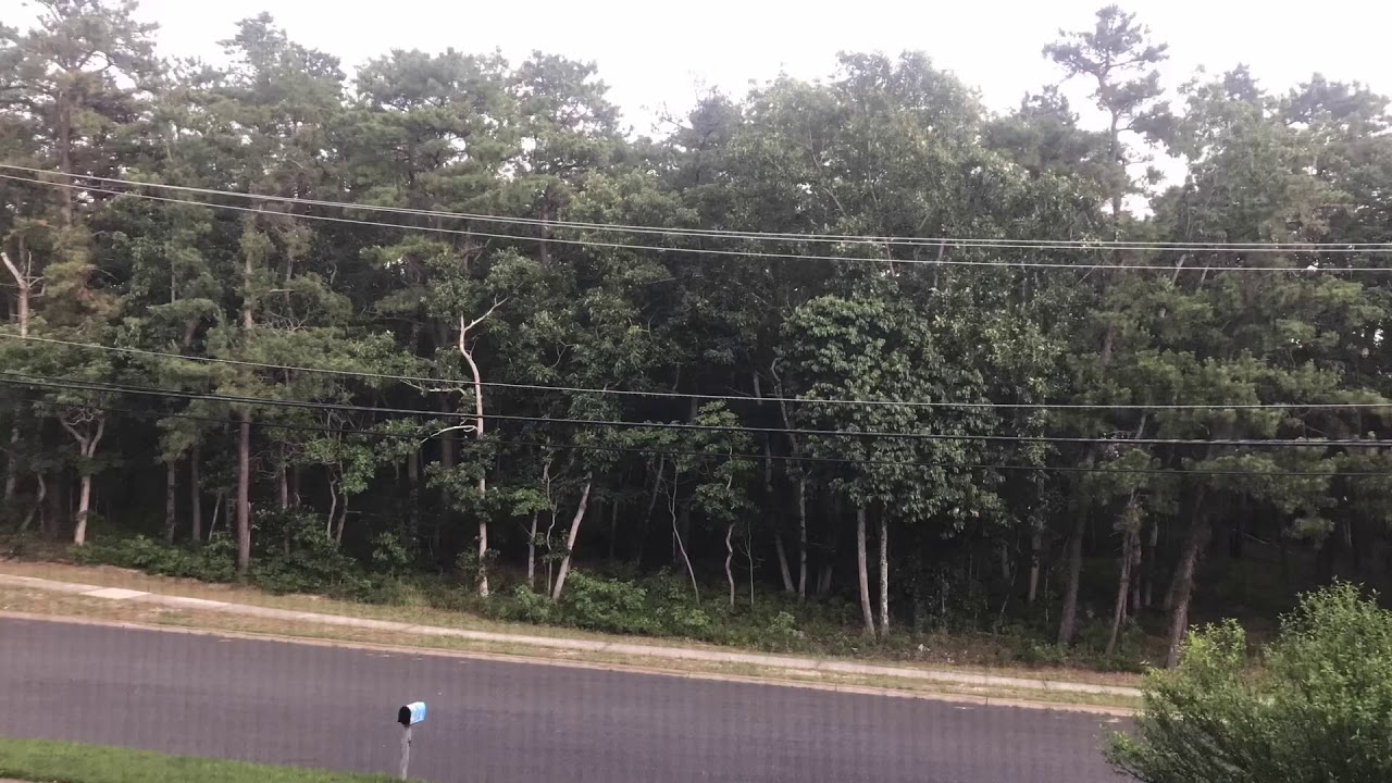 camera iphone 8 plus apk Time lapse of the street outside before during and after a storm!